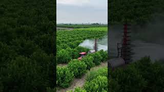 🚁🌾 Smart spray, healthy crops, higher yield. Modern farming with precision technology. #AgriTech