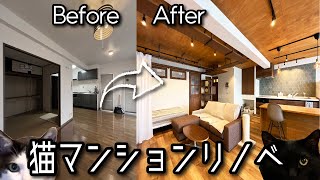 猫マンションリノベのビフォーアフター♪Renovation for cats