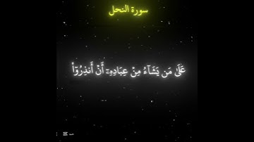 اكتب شي توجر علية | القارئ محمد اللحيدان🤍🖤