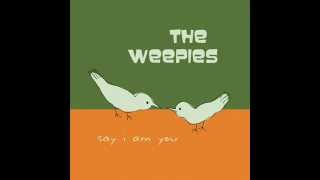 Video thumbnail of "The Weepies - Stars"