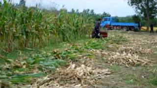 hand push corn harvester use diesel engine