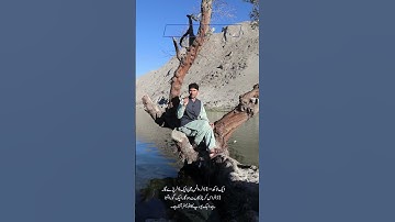 Tani Forex describe Blockchain technology in 1 minutes in Urdu and Hindi