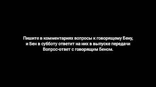 Пишите В Комментариях Вопросы К Говорящему Бену И Бен На Него Ответит.