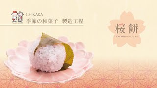 【広島ちから】春のいろどり生和菓子「桜餅」製造風景(2022年)