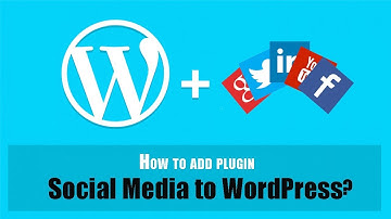 Easily Add social Media Widget Plugin to WordPress Site : 2025
