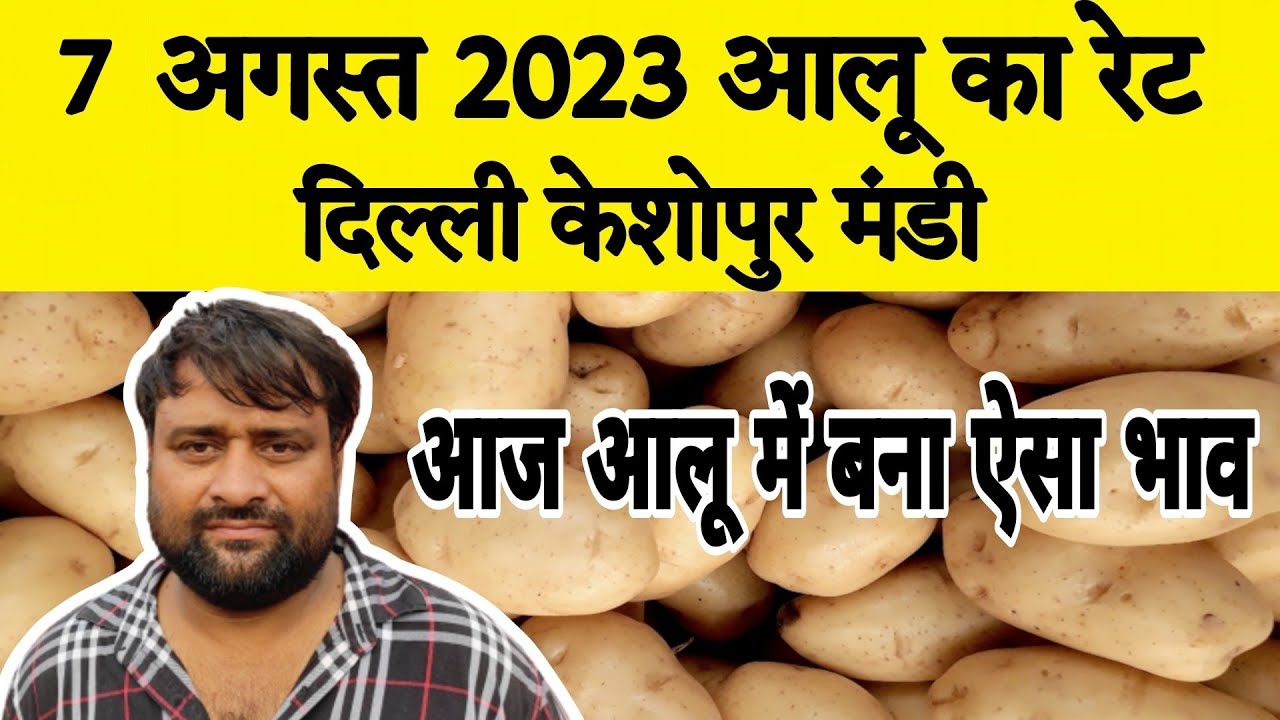 7 Aug 23 आलू का थोक भाव Today Potato Rate Aalu ka bhav 