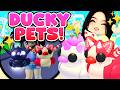 GETTING ALL 5 RUBBY DUCKY PETS in Adopt Me! (roblox)
