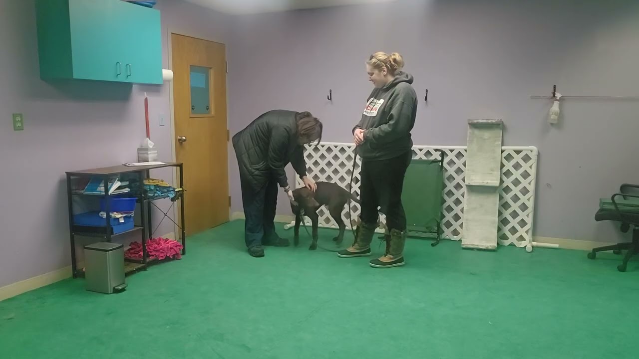 Leroy - polite greetings 