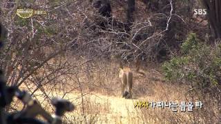 정글의법칙(김병만,김원준,한은정) 131004 #36(2)