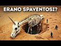 La Storia Completa degli Unicorni: Sì, Erano Reali