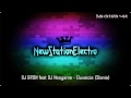 DJ DRON feat DJ Neogame - Eluveicie (Slania)