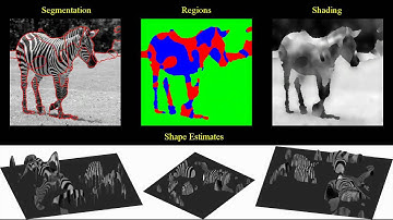 Segmentation, Shading Estimation, and Shape from Shading