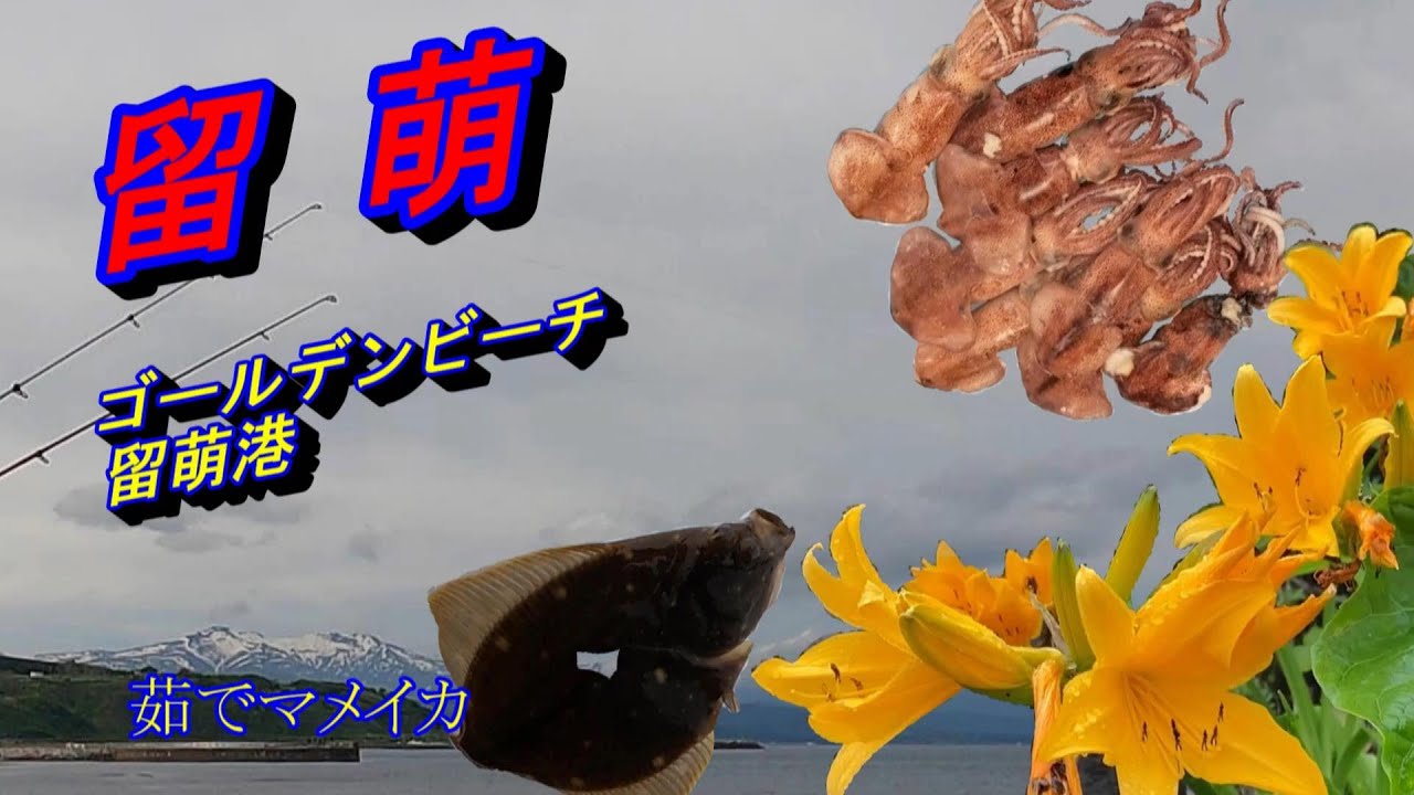留萌ゴールデンビーチ投げ釣り　留萌港マメイカエギング