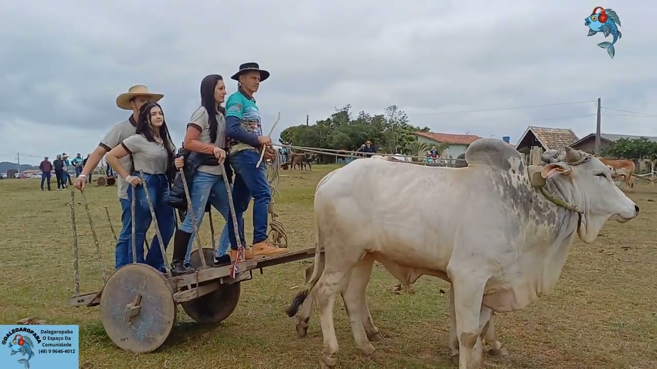 Melhores momentos II encontro dos amigos carreiros de Garopaba.
