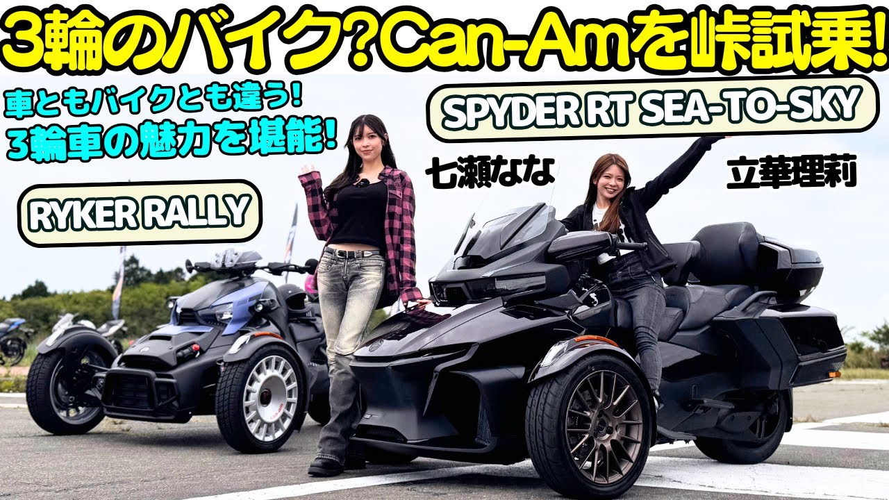 早い者勝ち　gadidanoniem DIDI / MULTI 早い者勝ち gadidanoniem DIDI / MULTI 早い者勝ちgadidanoniem
