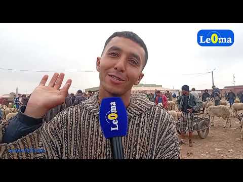 بائعي الغنم السوق بدا يتحرك والسلعة موجودة والله يدير تاويل الخير غير راه العلف غلا وكلشي غالي