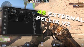 POWER / CS2 Cheating ft. pellix.xyz