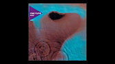 Is Meddle a compilation album?