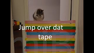 MimiBlue Challenge #1: Jump Over That Tape