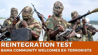 ‘Repentant Terrorists’ Return to Borno Community
