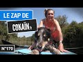 Le Zap de Cokaïn.fr n°170