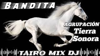 AGRUPACIÓN TIERRA SONORA 🔥 BANDITA POLKA 🇵🇾 OMÒPÉ KUETE 💪@TAIRO-MIX-DJ