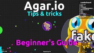 Agar.io Beginner