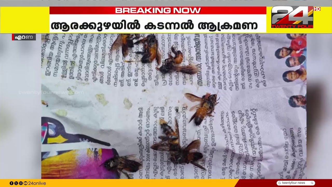 മൂവാറ്റുപുഴയിൽ കടന്നൽ കുത്തേറ്റ് പത്ത് പേർക്ക് പരുക്ക്, ഫയർഫോഴ്സ് ഉദ്യോഗസ്ഥനും പരുക്കേറ്റു