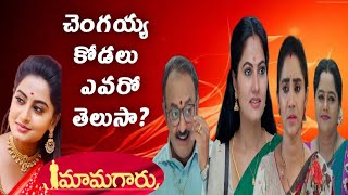 Mamagaru serial new character entry Tulasi yerra as PushpaValli// Mamagaru serial