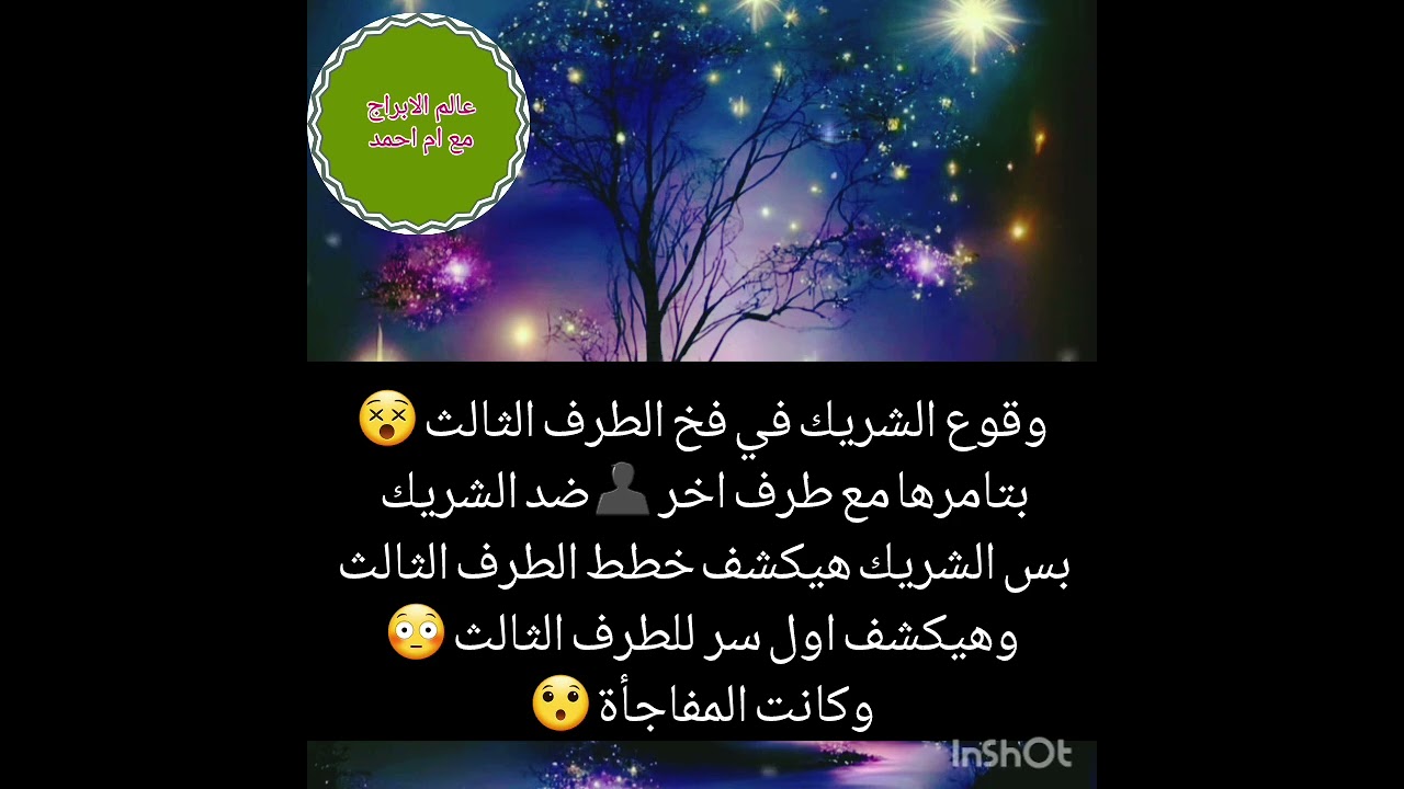 وقوع الشريك في فخ الطرف الثالث 😵بتامرهاعليه مع طرف اخر 👤ضد الشريك بس الشريك هيكشف خطط الطرف الثالث