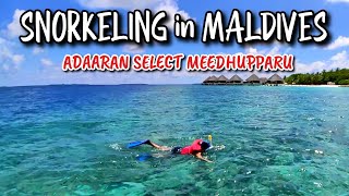 Download Lagu Adaaran Select Meedhupparu Maldives - The BEST Snorkeling Place on Earth - TravelTECH Special MP3