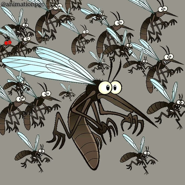 Amoyo mweee mosquito choir vs Bob kichwa ngumu #comedy #funny