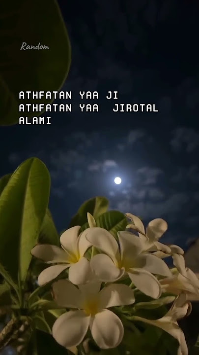 JAMAN WIS AKHIR BUMINE GOYANG #sholawat #sholawatnabi #sholawatmerdu