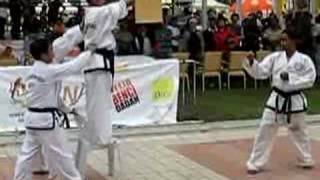 TRG Taekwon-Do: Ultimate Warrior 2006 Demonstration