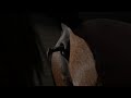 Horse Anal Vore