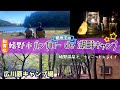 #51 初めてのバンガロー/湖畔キャンプが楽しすぎた@広川原キャンプ場🔥嬉野温泉から絶品チーズのお買い物まで嬉野市満喫!【50代夫婦キャンプ&ドライブ】