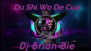 Du Shi Wo De Cuo 都是我的错 Remix By Dj Brian Bie