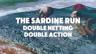 Sardine Run | EPIC Double Netting | Incredible Teamwork & Thousands of Sardines