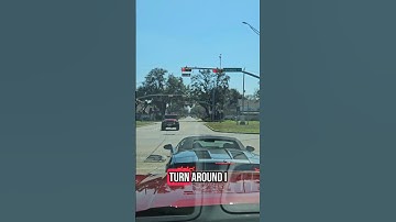 Cheaters in the wild#cheater #cheaters #viralvideo #viralshorts #viralshort #viralvideos #shortvideo