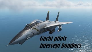 DCS World: Gachi pilots intercept bombers on F-14B