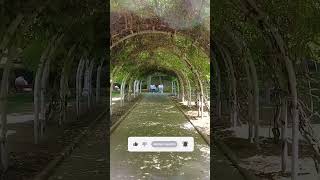 Gönül Yaremsin Medine - Fatih Öztürk