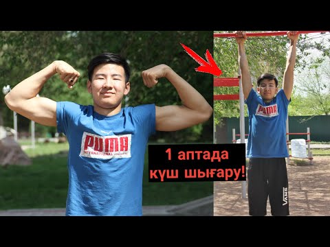 Бейне: Күш элементтері қандай?