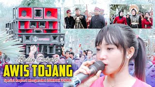 Spesial request masyarakat LOMBOK UTARA untuk ERLIN OCHETT - AWIS TOJANG lagu sasak viral 2023