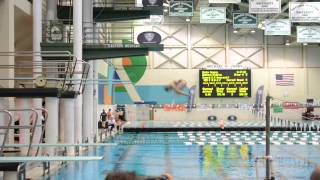 2015 MAC Championships Women's 3 Meter Finals