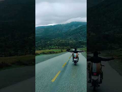 جنگل اولنگ   جنگلهای هیرکانی سفر موتور شاهرود سمنان اولنگ