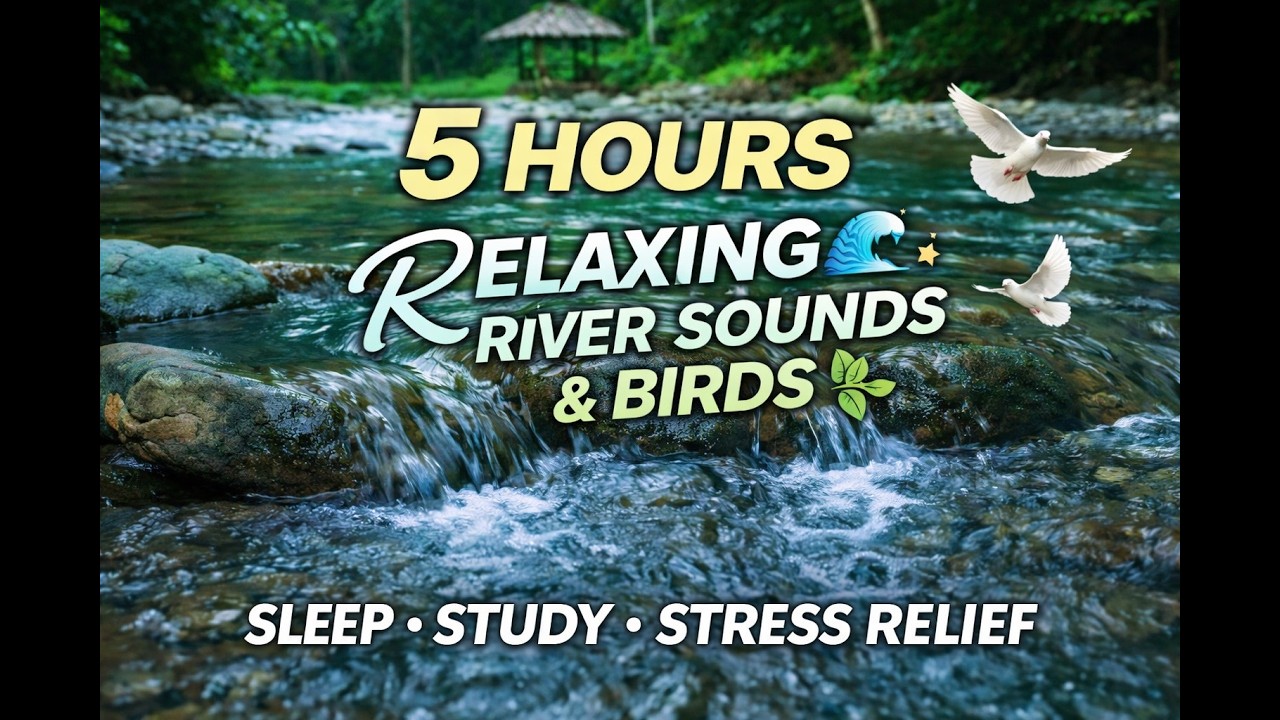 5 Hours Relaxing River Sounds & Birds 🕊️ | Natural Water Ambience for Sleep, Study & Stress Relief