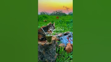 أرح سمعك #quran #القرآن_الكريم #تلاوات #تجويد #explore #ترتيل  #حالات_واتس #اكسبلور #طبيعة