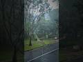 Sudden Downpour ☔️⛱️ | Singapore | #singaporevlog #singaporelife #rain