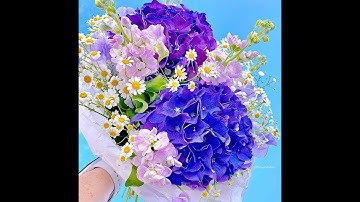 VÓ NGỰA TRÊN ĐỒI CỎ NON -Giao Tiên -Thế Sơn -NDD*