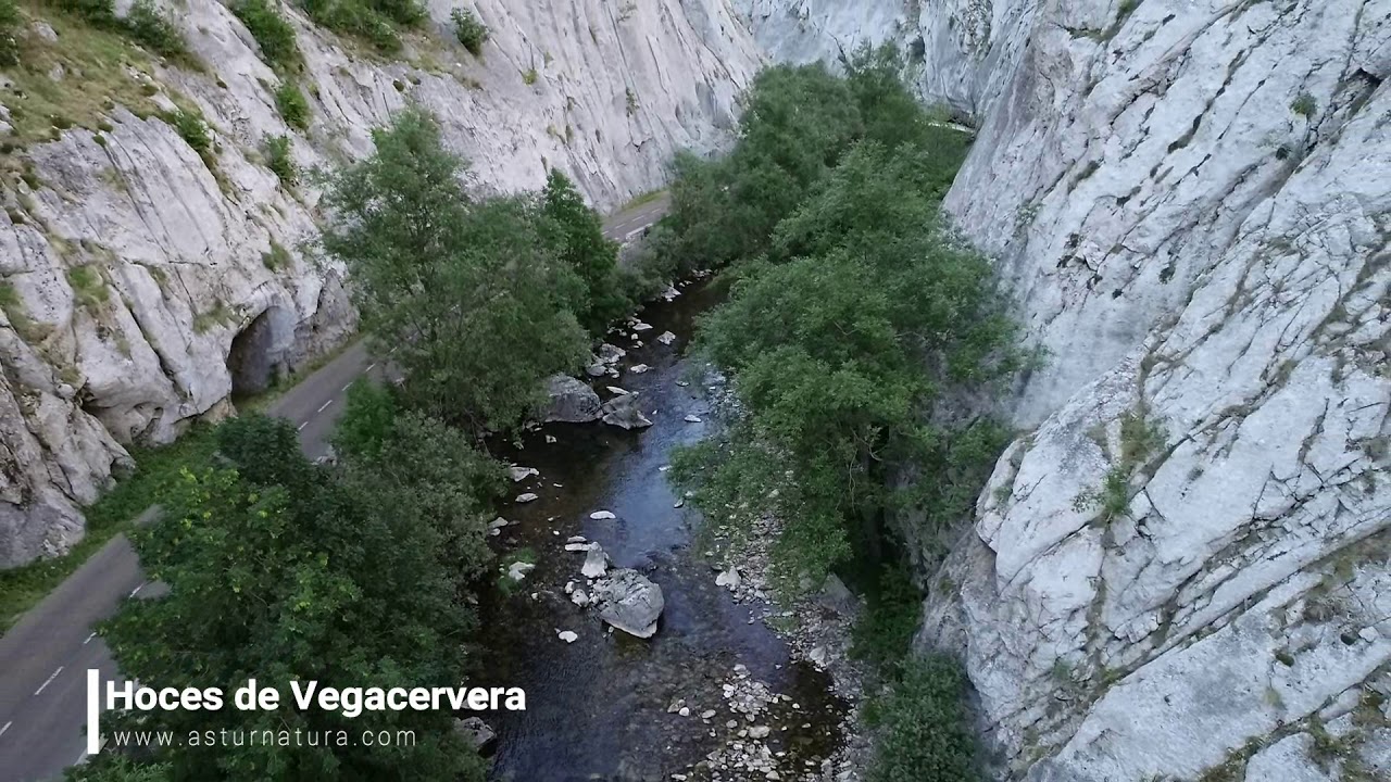 Hoces de Vegacervera